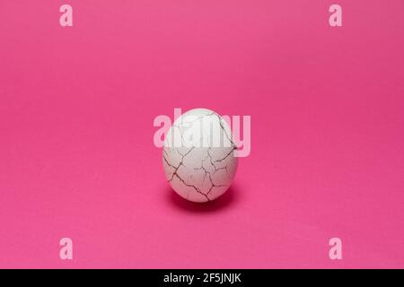 Chicken organic white egg  with cracked like paint. Pink background. Minimal Easter background Stock Photo