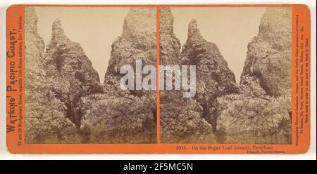 On the Sugar Loaf Islands, Farallone sic Islands, Pacific Ocean.. Carleton Watkins (American, 1829 - 1916) Stock Photo