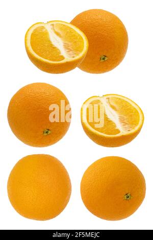 Set of orange fruit. Whole, half and sliced orange isolated on white background. Stock Photo