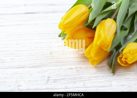 Five buds of yellow tulips close-up on a white wooden background Stock Photo
