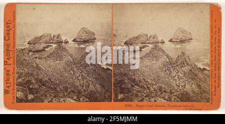 Sugar Loaf Islands, Farallone sic Islands, Pacific Ocean.. Carleton Watkins (American, 1829 - 1916) Stock Photo