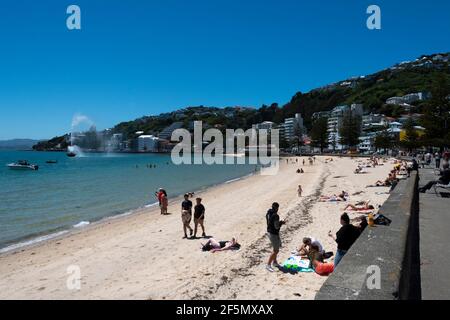 Central city beach, Oriental Bay, Wellington, North Island, New Zealand Stock Photo