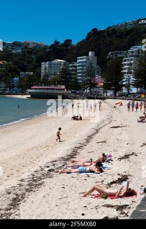 Central city beach, Oriental Bay, Wellington, North Island, New Zealand Stock Photo