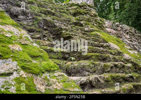 Moss-covered stairs at Mayan Temple ruins in Muyil, Qunitana Roo, Yucatan peninsula, Mexico Stock Photo