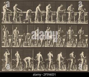 Animal Locomotion. Eadweard J. Muybridge (American, born England, 1830 - 1904) Stock Photo