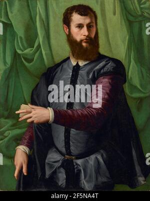 Portrait of a Man. Francesco Salviati (Italian, 1510 - 1563) Stock Photo