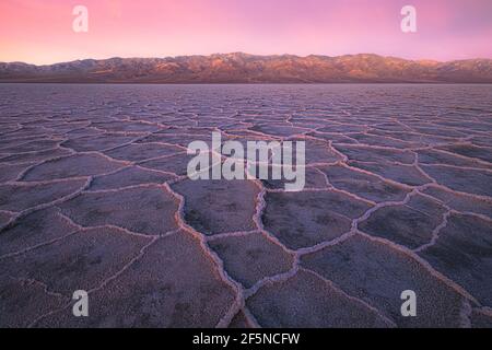 Beautiful, inspiring landscape and halite texture of Badwater Basin salt flats under a colourful, vibrant sunset or sunrise pink sky at Death Valley N Stock Photo