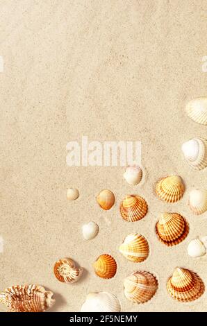 Seashells pattern on the sandy beach. Summer background. Stock Photo