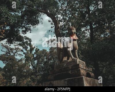 Shizuoka, Japan, December 7, 2019: Beautiful wolf statue in japan Stock Photo