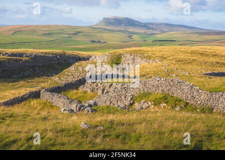 Beautiful rolling hills and old stone wall in the rural countryside landscape in Ribblesdale of the Yorkshire Dales National Park. Stock Photo