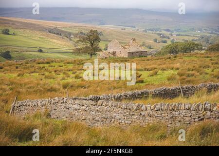 An old abandoned country croft house and stone wall in the rural English countryside landscape of the North Pennines AONB, England UK. Stock Photo