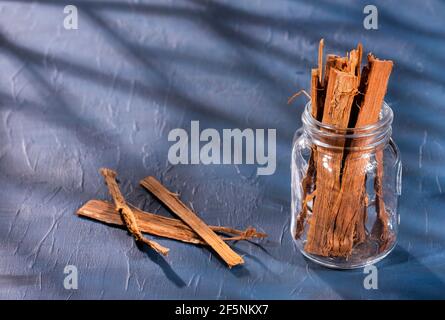 Cat's claw with medicinal properties - Uncaria tomentosa Stock Photo