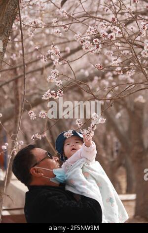 Jiuquan, China's Gansu Province. 27th Oct, 2014. A Long March 2C ...