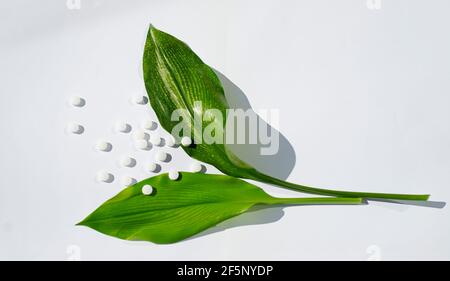 Two green large sheets and white round tablets. Flower from pills on a white background. Stock Photo