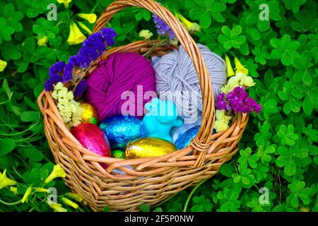 A basket decorated for an egg hunt. It has eggs wrapped in color tin foil, a toy of a rabbit and some balls of yarn. It's surrounded by vegetation, cl Stock Photo