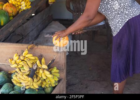 A local Sri Lankan woman prepares a refreshing tropical king coconut or thambili (Cocos nucifera) at a rural village roadside fruit stand in Sri Lanka Stock Photo