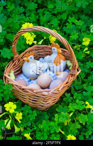 Basket with eggs and two ceramic chicken figurines in the middle of a clover field and yellow flowers Stock Photo