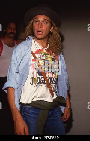 David Lee Roth Circa 1985 Credit: Ralph Dominguez/MediaPunch Stock ...