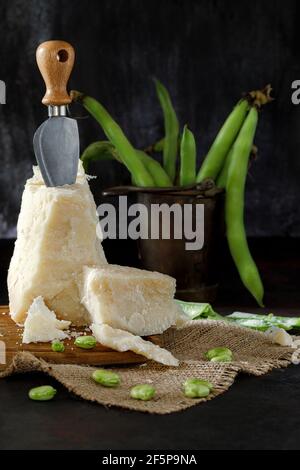 Pecorino cheese with broad beans typical snack of the roman cuisine Stock Photo