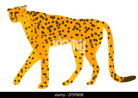 Cute cheetah, leopard or jaguar cartoon character jungle tropical animal. Vector illustration isolated on white background Stock Vector