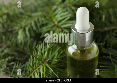 Bottle of pine oil and pine twigs, close up Stock Photo