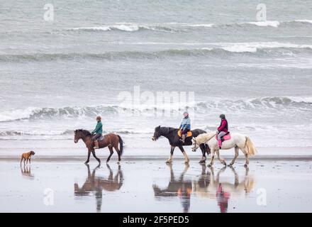 Coolmain, Cork, Ireland. 27th March, 2021. Jessie, Susan and Ella Nicholson greet a Boxer dog while out riding at Coolmain, Co. Cork, Ireland. - Credit; David Creedon / Alamy Live News Stock Photo