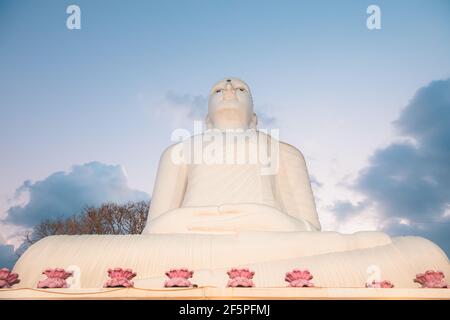 Steps leading up to the giant white Buddha statue illuminated at night at Sri Maha Bodhi Viharaya, a Buddhist temple at Bahirawakanda in Kandy, Sri La Stock Photo