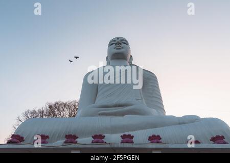 Giant white Buddha statue at Sri Maha Bodhi Viharaya, a Buddhist temple at Bahirawakanda at sunset or sunrise in Kandy, Sri Lanka. Stock Photo