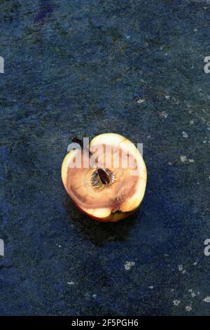 half rotten apple on slate