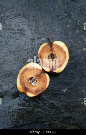 2 halves of rotten apple on slate