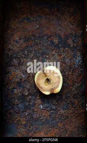 half of rotten apple on rusty metal Stock Photo