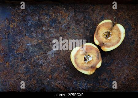 2 halves of rotten apple on rusty metal Stock Photo