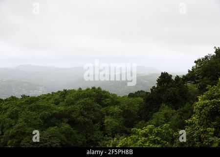 View of the forest canopy and rolling hillsides towards Castries of St. Lucia from a Gondola over the Babonneau rainforest of St. Lucia. Stock Photo