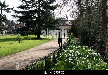 The Pump Room Gardens in spring, Leamington Spa, Warwickshire, England, UK Stock Photo