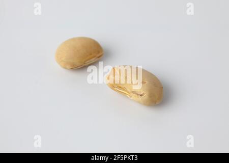 parched soy beans isolated on white background Stock Photo