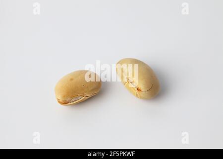 parched soy beans isolated on white background Stock Photo