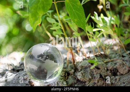 Glass ball on the sand in the green grass. Environment concept, nature protection Stock Photo