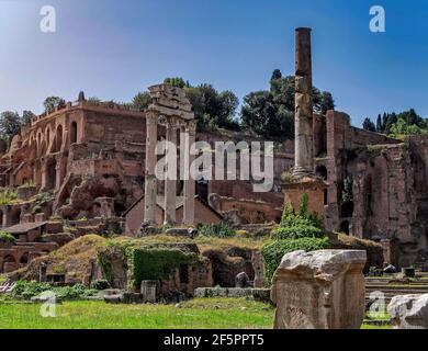 Time Capsule II. Walking in the Roman Forum, time gains another dimension. The Dioscouri brothers temple ruins. Stock Photo