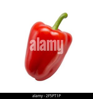 Red sweet bell pepper isolated over white background closeup without shadow Stock Photo
