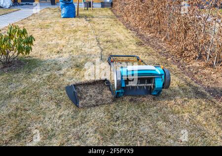 Preparing the lawn for summer with an electric aerator in early spring. Garden machines concept. Sweden. Stock Photo