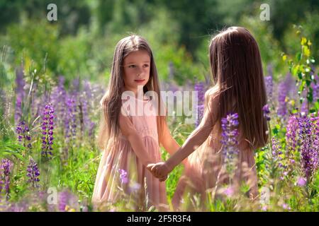 Portrait of happy identical twin sisters with long hair dancing together in beautiful dresses at sunny nature in grass and flowers. Girls friendship a Stock Photo