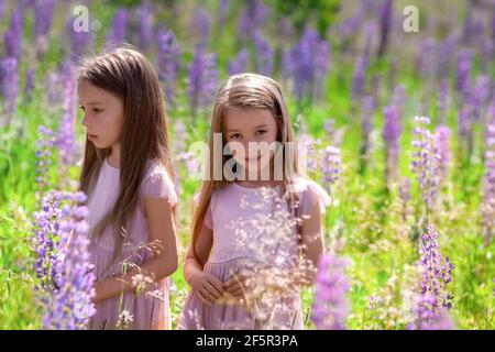 Portrait of happy identical twin sisters with long hair showing different emotions in beautiful dresses at sunny nature in grass and flowers. Stock Photo