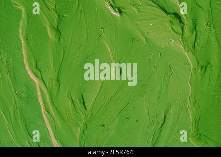 Wall texture painted green Stock Photo