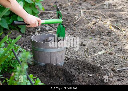 Kids at home gardening, learning to grow vegetables and plants. Using garden tools, gardening instructions and gardening teaching Stock Photo