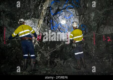 Geologist sampling ore and marking drilling instructions in underground ...