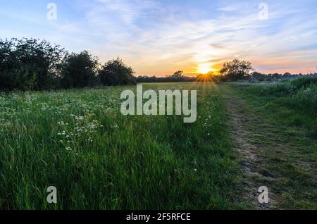 The sun setting over fields of wild flowers bordering the river avon, in Eckington, Worcestershire, England. Stock Photo
