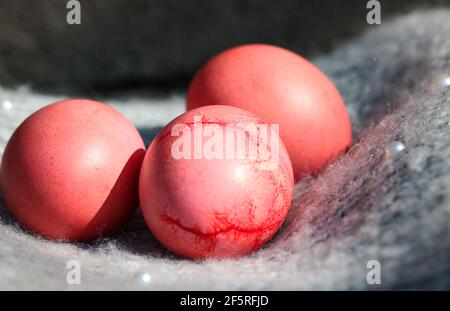 Pink Easter eggs on a gray background Stock Photo