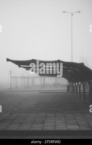 A vertical misty dark scenery with a view of a morning empty parking on the territory of a filling station with a curved metal roof of a canopy agains Stock Photo