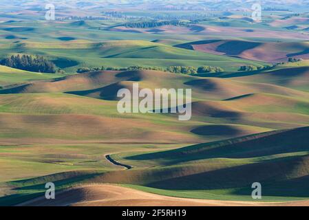 Rolling hills of the Palouse region of Washington State in the setting sun with shadows casting contrasting patterns on the landscape Stock Photo