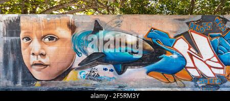Street art in Mexico featuring a beautiful drawing of a young boy and a shark, with sun shining through the tropical plants in the background Stock Photo